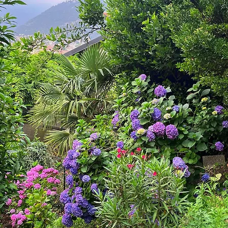 فندق مبيت وإفطار Il Sogno