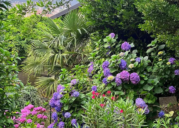 فندق مبيت وإفطار Il Sogno