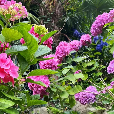 Couette-café Il Sogno *