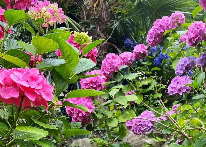 Bed & Breakfast Il Sogno *